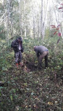 Skovmærket_arbejdsdag_2020_5.jpg